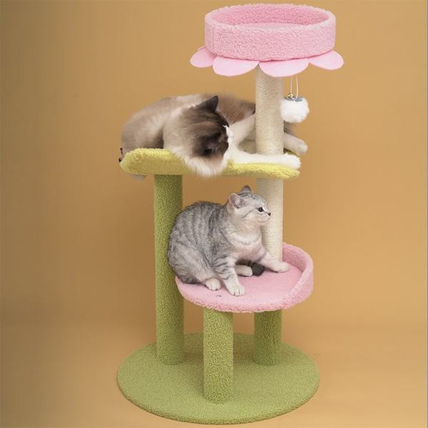 Kaķu alpīnistu-skrāpēju divi modeļi