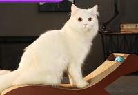 Placă de zgâriat pisică - culoare maro