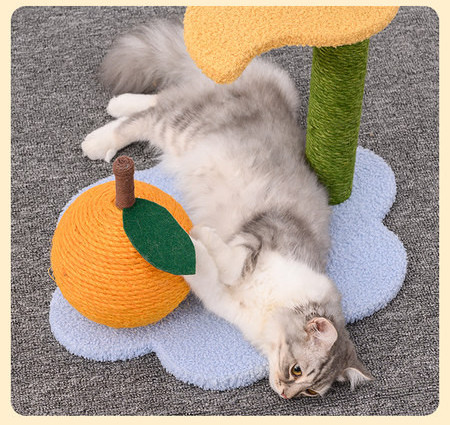 Cat alpinist-scribbler diferite modele