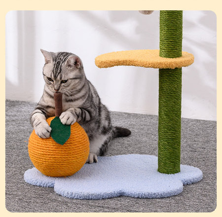 Cat alpinist-scribbler diferite modele