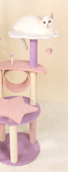 Alpinist pisică cu mâzgăli și mingi de joacă