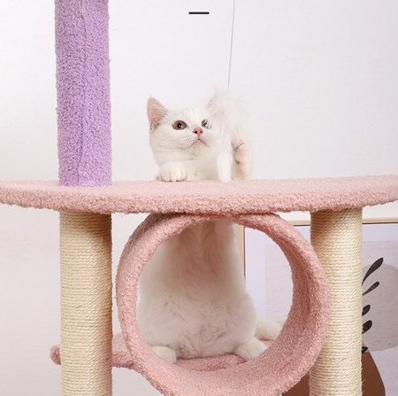 Alpinist pisică cu mâzgăli și mingi de joacă