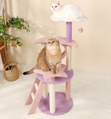 Alpinist pisică cu mâzgăli și mingi de joacă