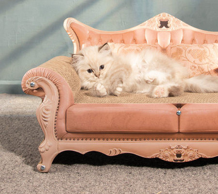 Ξύστρα για γάτες - δύο μοντέλα