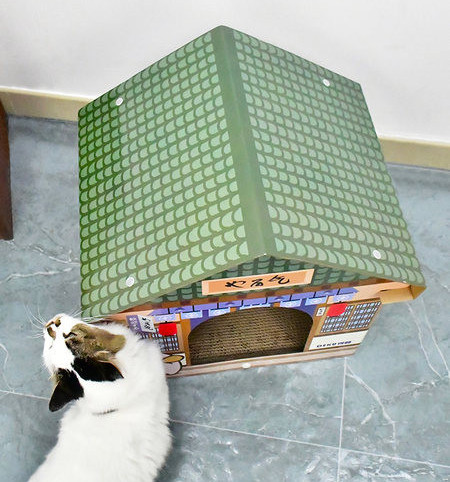 Zgarietor in forma de casa pentru pisici