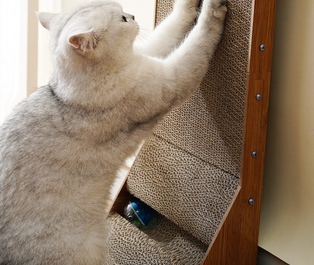 Puidust kassikraabits