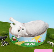 Mâzgălire de pisici cu inscripție colorată