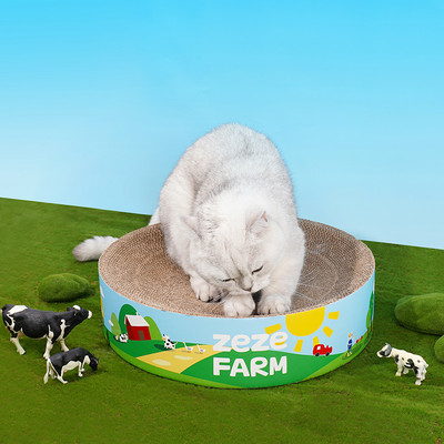 Mâzgălire de pisici cu inscripție colorată