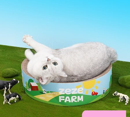 Mâzgălire de pisici cu inscripție colorată