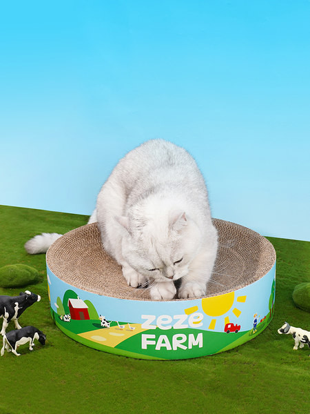 Mâzgălire de pisici cu inscripție colorată