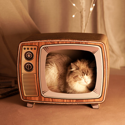 Scarlet pentru pisici - trei modele