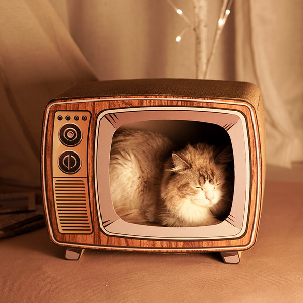 Scarlet pentru pisici - trei modele