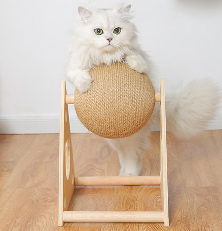 Kassikraabits - mitu mudelit