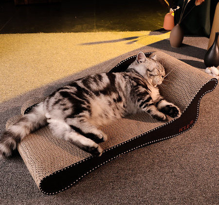 Diivani kujuline kassikraabits