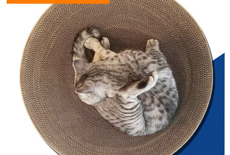 Skruberis no gofrētā papīra kaķiem