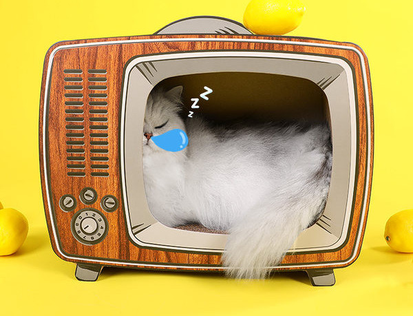 Scarlet pentru pisici - patru modele