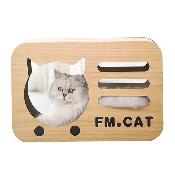 Scarlet pentru pisici - patru modele