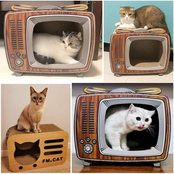 Scarlet pentru pisici - patru modele