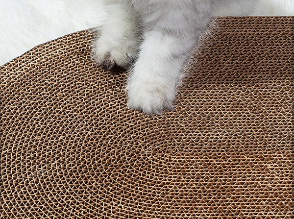 Kelių dydžių draskytuvas katėms