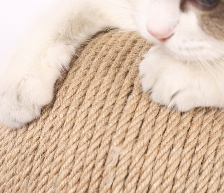 Σκαρίφημα γάτας με μπάλα - διάφορα μεγέθη