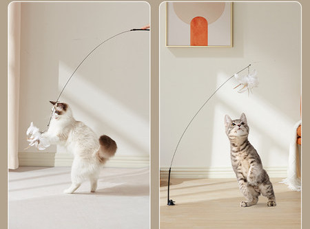 Pakabinamas žaislas su stovu katėms