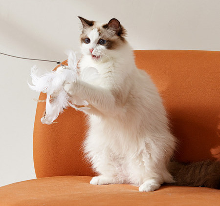 Pakabinamas žaislas su stovu katėms