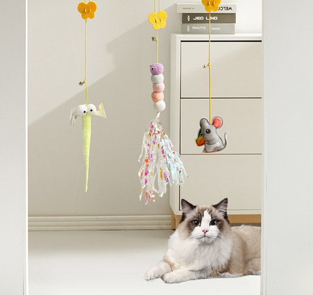 Žaislas katėms su pakabuku