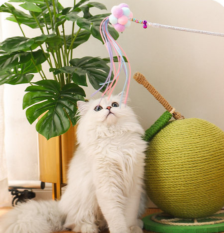 Kačių meškerės žaislas – keli modeliai