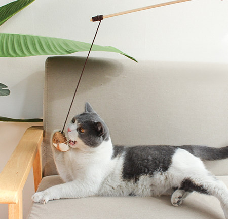 Kačių žaislas su plunksna