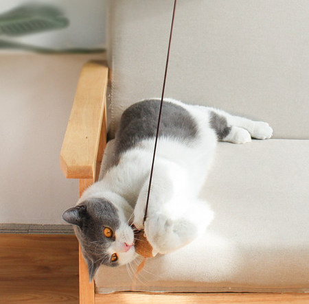 Kačių žaislas su plunksna