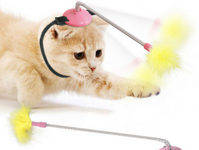 Īru makšķere - vairāki modeļi