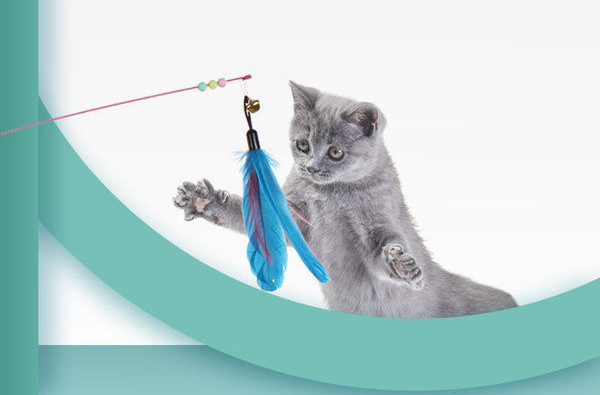 Īru makšķere - vairāki modeļi