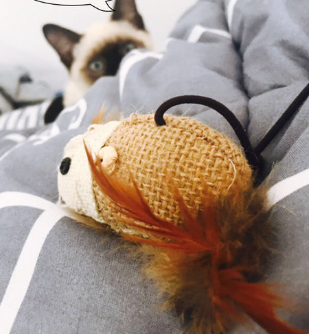 Undiță de pescuit tip jucărie distractivă pentru pisici