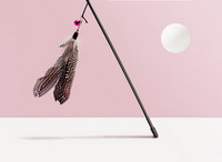 Undiță jucărie pentru pisici cu pene