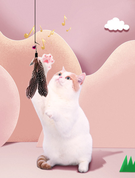 Undiță jucărie pentru pisici cu pene