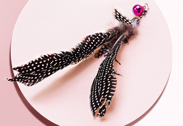 Undiță jucărie pentru pisici cu pene