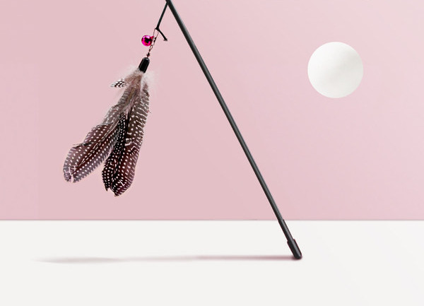 Undiță jucărie pentru pisici cu pene