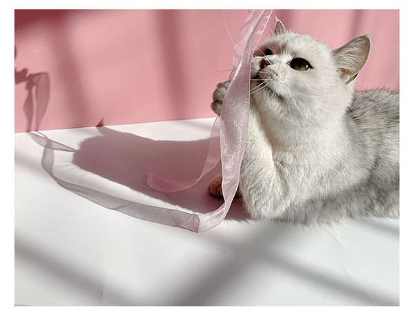 Õngeritv mänguasi udusulgede ja sulgedega