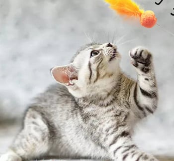 Καλάμι ψαρέματος τύπου διασκεδαστικό παιχνίδι γάτας