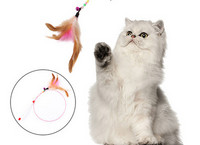 Kassi sulgedega rippuv mänguasi