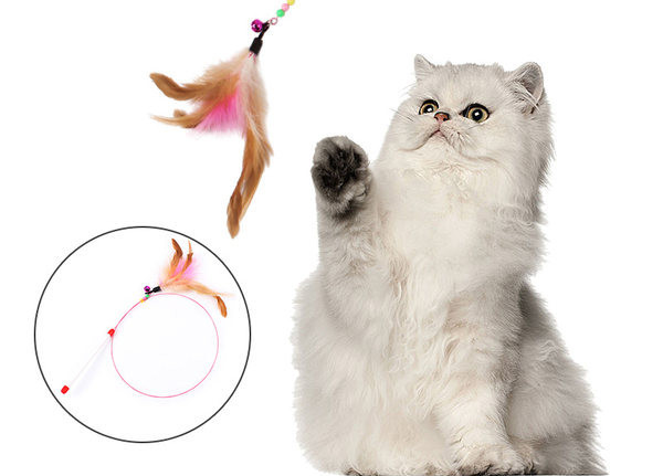 Kassi sulgedega rippuv mänguasi