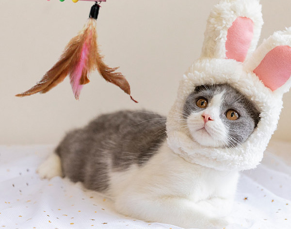 Kassi sulgedega rippuv mänguasi