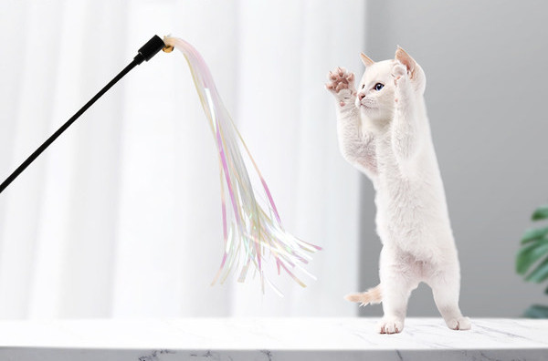 Undiță pentru pisici cu franjuri