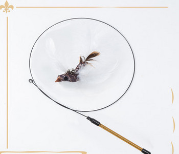 Παιχνίδι για γάτες με μενταγιόν - πολλά μοντέλα