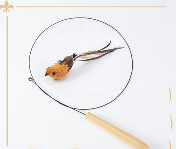 Παιχνίδι για γάτες με μενταγιόν - πολλά μοντέλα