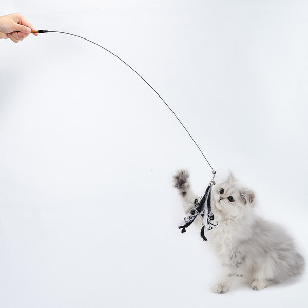 Παιχνίδι για γάτες με μενταγιόν - πολλά μοντέλα