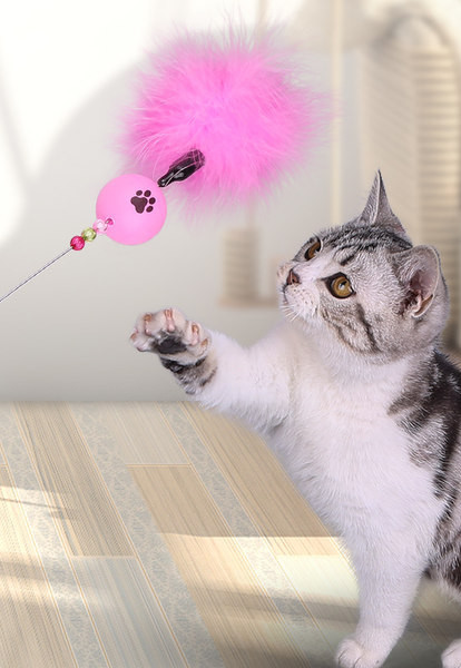 Undiță de pescuit jucărie pentru pisici cu puf