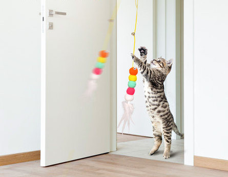 Štap za pecanje u obliku mačje igračke - s različitim privjescima