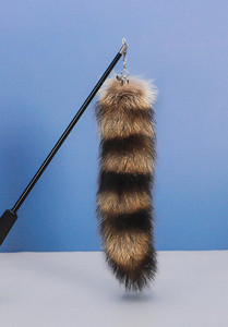 Καλάμι  γάτας - πολλά μοντέλα