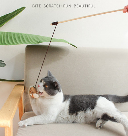 Mačji štap za pecanje - nekoliko modela